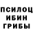 Псилоцибиновые грибы Psilocybe Insaf Iskuzhin