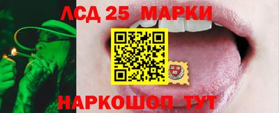 СК Новокубанск