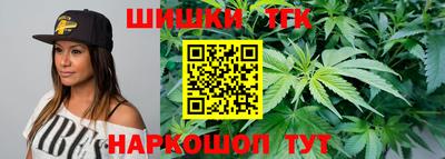 СК Новокубанск