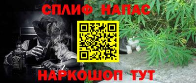 мдпв Новозыбков