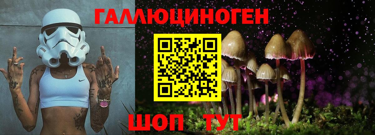 Волжск  Псилоцибиновые грибы Cubensis  Вход с VPN 